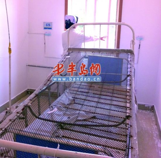 �ൺ��������Ȯ������������ʿ��Ѫʱ��ץ��