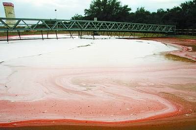番茄酱厂处理污水,以便回收再利用