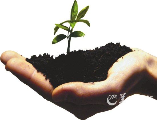 国外慈善怎样管?