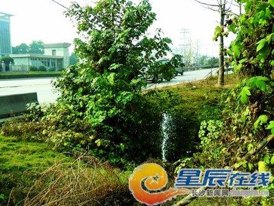 �ż����Ǳ��潭������