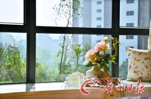 ������¥��������