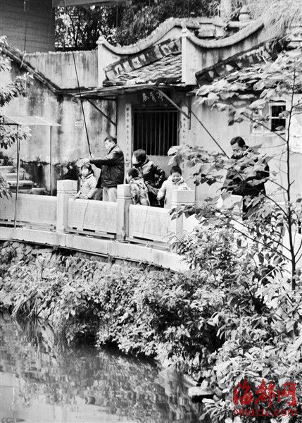 安泰河畔三男偷钓景观鱼