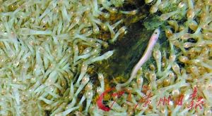 �����Ϻ����450��