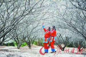 �ƻ�����