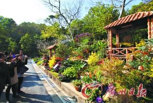 ԰����������ɽ������