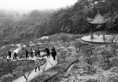 ���Ρ�÷�������ֹ�ɽ