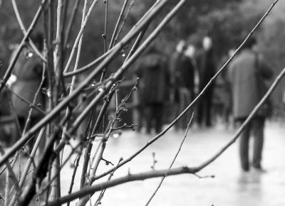 ���Ρ�÷�������ֹ�ɽ