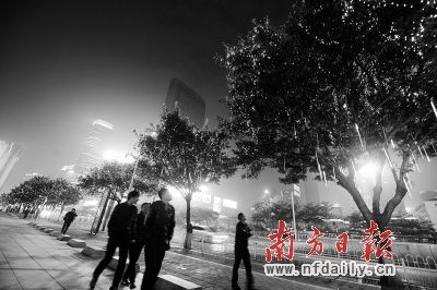 广州花市首日迎客161万