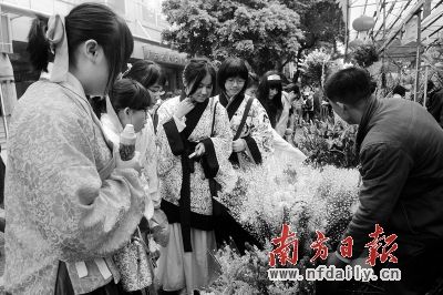 广州花市首日迎客161万