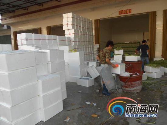 �����߲˽�ǰ���������ڵ��վ����״�1500��