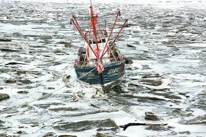 ������1.7��ƽ�����ﺣ�����