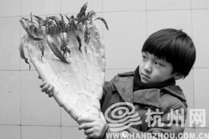 Ů�����β���������ȫ������æ�ϰַ���һ��ݫ����