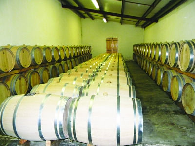 ����ư����Ƶ���Ű��ŷԪ���;Ƴ��ݳ�Ʒ