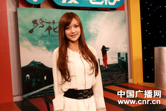 ���廨Ь������Ϸ˵Ȥ��Ҷ������������������