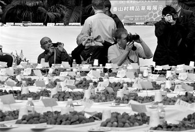 ��ݮ����