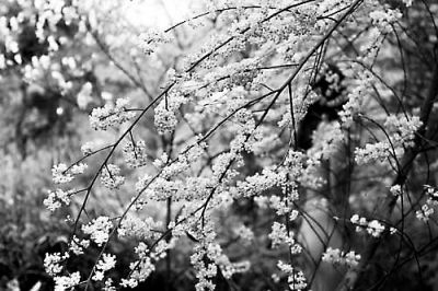 ��ɽһ����������ɭ��ԡ