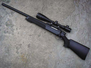 > 正文   "麦克老狼"推测的肇事气枪之一,圈内人戏称为r10狙击步枪.