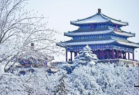 北京下了一场很像样儿的雪