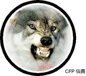 ɽ������̫�ǡ�ҧ��2������5����