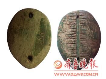 昌乐疑发现中国最早骨贝币