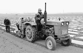 ũĤ�ɽ��⻷���޵���