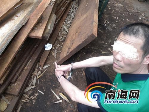 海南文昌特大贩毒案侦破 擒"毒品鸳鸯"等12人