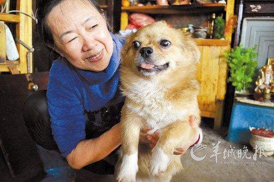 人口普查抱养黑人黑户_人口普查