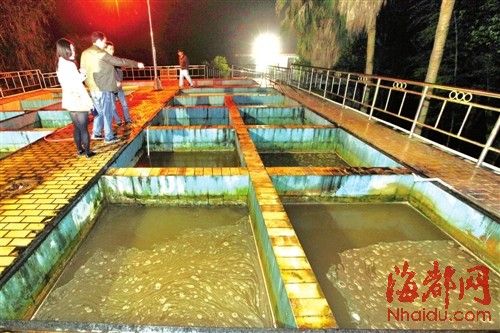 南平一乡镇自来水浑浊变味