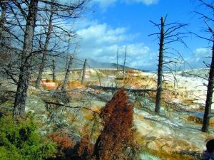 ���ⲻ����Ʊ���ú������ʹ�����ƱֻҪ16Ԫ