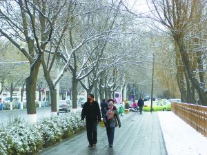 ������⳾����էů����������