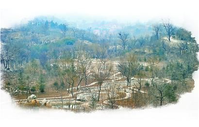 �����ֽ���һ������ɽ�ɵ���ɽ��������������һ��·