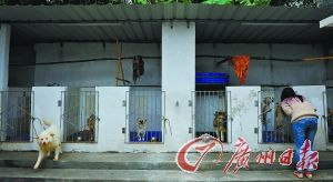 һ������