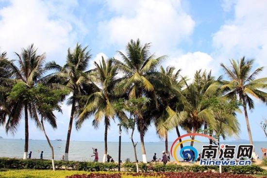 ����Ҭ��ȾҬ��Ҷ����ҵ���ţ��޷����οɿ���