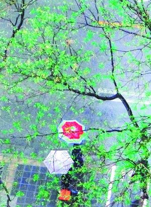 ������Լ