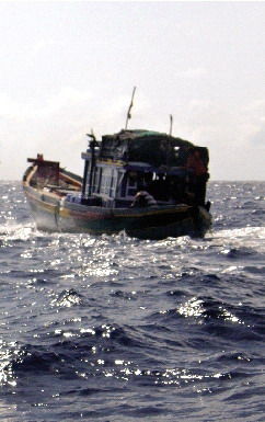 �й��ͷ�21��Խ������