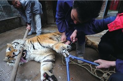 ��Ѩ�����ס�