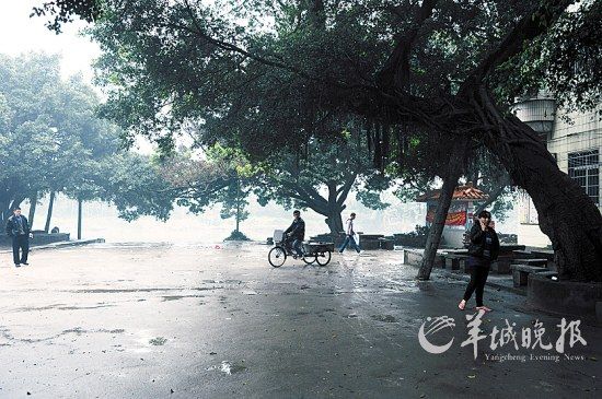 ��������ѧ��������Ӧ:��Ķ��԰��������