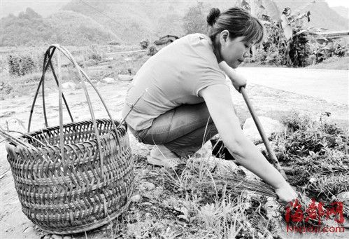 割肾救子妈妈的母亲节愿望