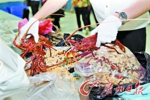 ��Ϻ����ΰ�Ҳ�����ϰ�ҡ�