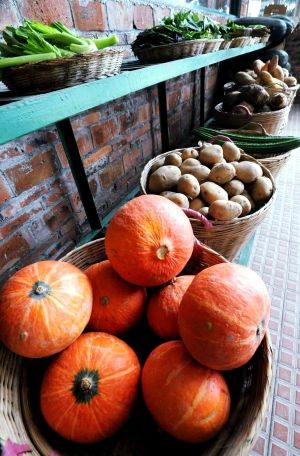 ���������ﱻ��ũ���ֳ�·���ڣ�