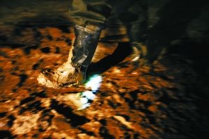 ǧ�����