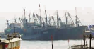 ���������������洬����