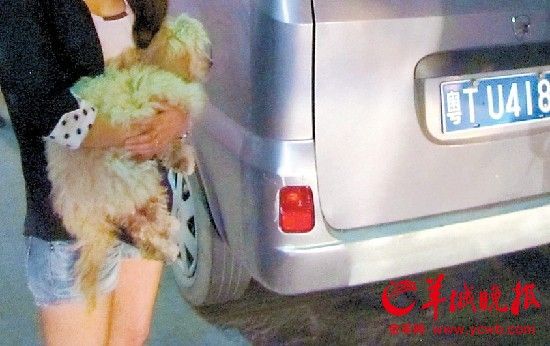 ��ײ�������۳���ŭ����ɽ�����񲹳�