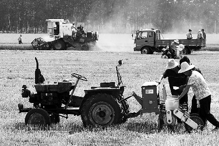 ս�����ġ�����������