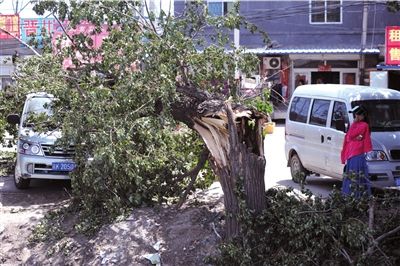 �����һ�������������