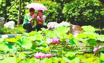 �ɻ�����