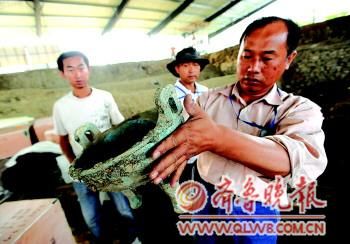 ��ˮ�Ķ�Ĺ����Ʒ��װ48��