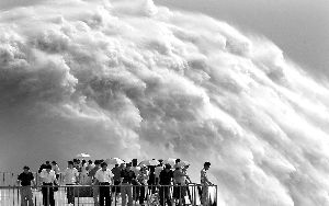 �ƺӡ����衱