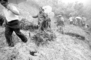 ����ɽ�鱩��