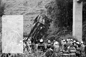 ���׹��50����ɽ��